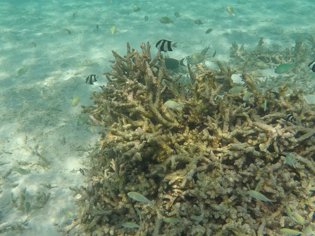 Hudhu Raakani Lodge Maldives Thinadhoo Kültér fotó