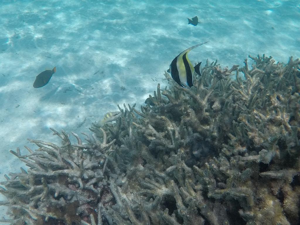 Hudhu Raakani Lodge Maldives Thinadhoo Kültér fotó
